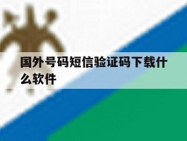 国外号码短信验证码下载什么软件