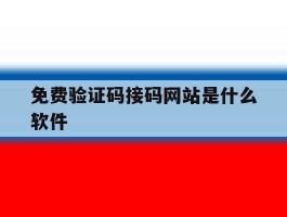 免费验证码接码网站是什么软件