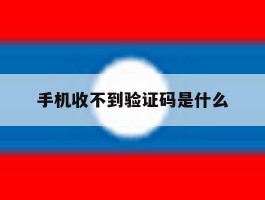 手机收不到验证码是什么