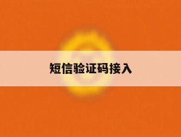 短信验证码接入