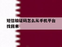 短信验证码怎么从手机平台找回来