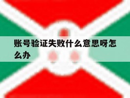 账号验证失败什么意思呀怎么办