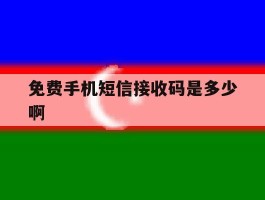 免费手机短信接收码是多少啊