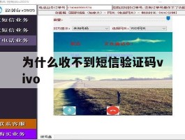 为什么收不到短信验证码vivo