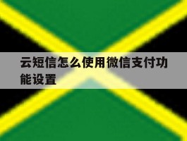云短信怎么使用微信支付功能设置