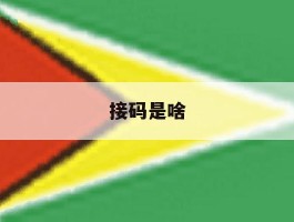 接码是啥
