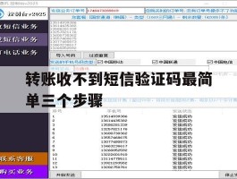 转账收不到短信验证码最简单三个步骤的简单介绍