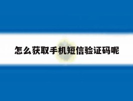 怎么获取手机短信验证码呢