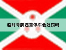 临时号牌违章停车会处罚吗