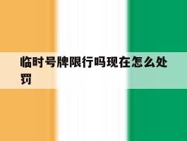 临时号牌限行吗现在怎么处罚