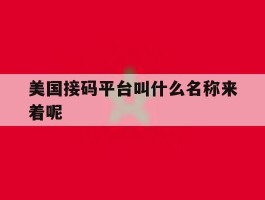 美国接码平台叫什么名称来着呢