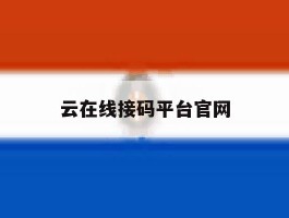 云在线接码平台官网