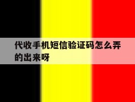 代收手机短信验证码怎么弄的出来呀