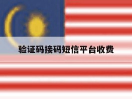 验证码接码短信平台收费