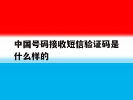 中国号码接收短信验证码是什么样的