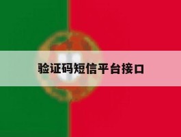 验证码短信平台接口