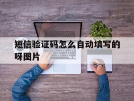 短信验证码怎么自动填写的呀图片