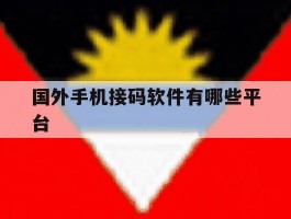 国外手机接码软件有哪些平台