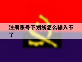 注册账号下划线怎么输入不了