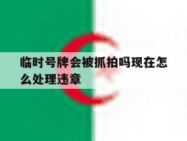 临时号牌会被抓拍吗现在怎么处理违章