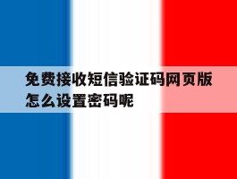 免费接收短信验证码网页版怎么设置密码呢的简单介绍