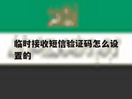 临时接收短信验证码怎么设置的