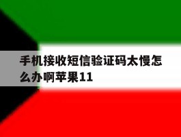 手机接收短信验证码太慢怎么办啊苹果11的简单介绍
