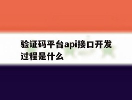 验证码平台api接口开发过程是什么