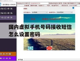 国内虚拟手机号码接收短信怎么设置密码