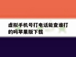 虚拟手机号打电话能查谁打的吗苹果版下载