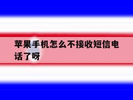 苹果手机怎么不接收短信电话了呀