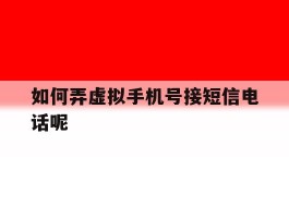 如何弄虚拟手机号接短信电话呢