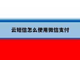 云短信怎么使用微信支付