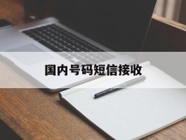 国内号码短信接收