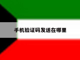 手机验证码发送在哪里