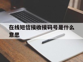 在线短信接收接码号是什么意思