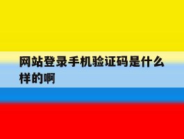 网站登录手机验证码是什么样的啊