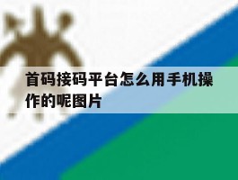 关于首码接码平台怎么用手机操作的呢图片的信息