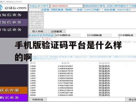 手机版验证码平台是什么样的啊