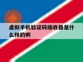 虚拟手机验证码接收器是什么样的啊