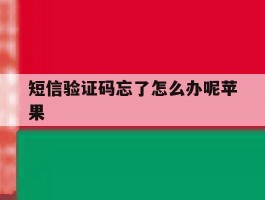 短信验证码忘了怎么办呢苹果