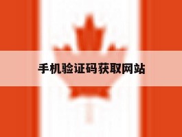手机验证码获取网站