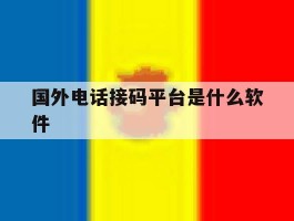 国外电话接码平台是什么软件