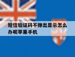 短信验证码不弹出显示怎么办呢苹果手机
