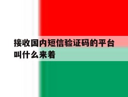 接收国内短信验证码的平台叫什么来着