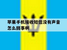 苹果手机接收短信没有声音怎么回事啊