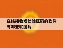 在线接收短信验证码的软件有哪些呢图片