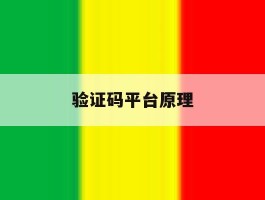 验证码平台原理