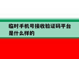 临时手机号接收验证码平台是什么样的