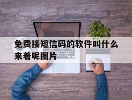 免费接短信码的软件叫什么来着呢图片